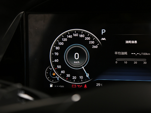 2020270TGDi DCTӢ п؅^