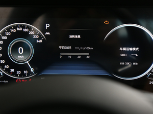 2020270TGDi DCTӢ п؅^