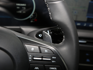 2020270TGDi DCTӢ п؅^