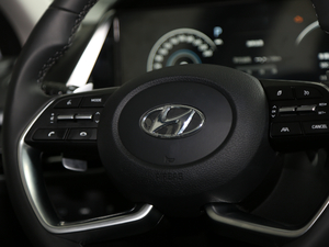 2020270TGDi DCTӢ п؅^