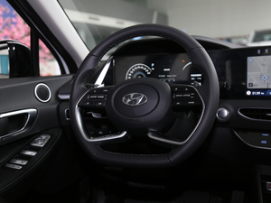 2020270TGDi DCTӢ п؅^