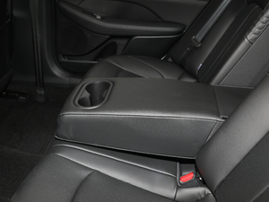 2020270TGDi DCTI(lng)Ȱ 