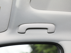 2020270TGDi DCTIȰ g