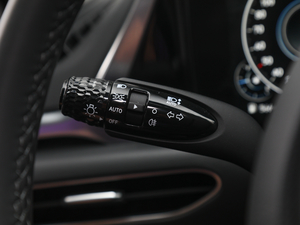 2020270TGDi DCTI(lng)Ȱ п؅^(q)