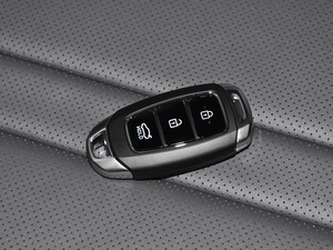 2020380TGDi Ԅ ܇耳