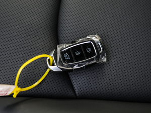 2020380TGDi ԄŞ ܇耳