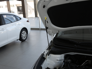 20201.4L ք(dng)ſGLS 