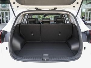 2020280TGDi pxσ(q)rа VI g