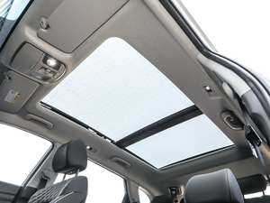 2020280TGDi pxσ(q)rа VI g