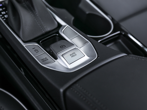 2020280TGDi pxσrа VI v܇Ƅ