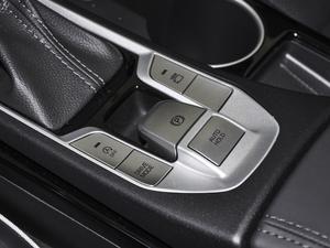 2020280TGDi pxσ VI v܇Ƅ