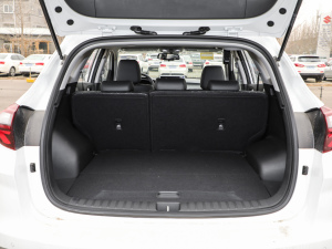 2020280TGDi pxσ(q) VI g