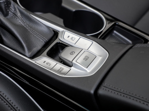 2020280TGDi pxσ VI v܇Ƅ