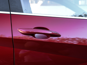 2021240TGDi TOPŞ (x)(ji)^