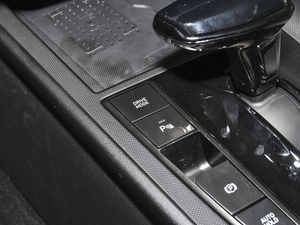 2021240TGDi LUXF п؅^