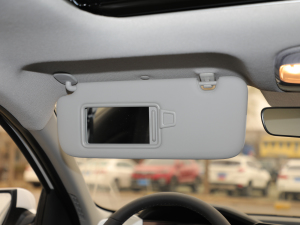 20211.5L LUXF ꖰ壨