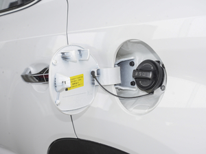 20212.0L ԄӃIȰGLS w