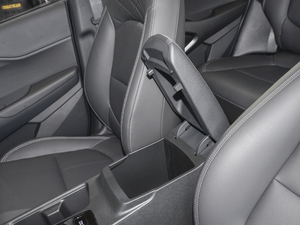 20212.0L ԄӃIȰGLS g