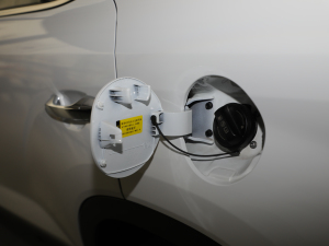 20212.0L ԄӃIȰGLS ^