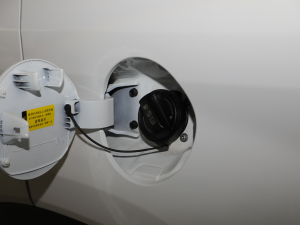 20212.0L ԄӃIȰGLS ^