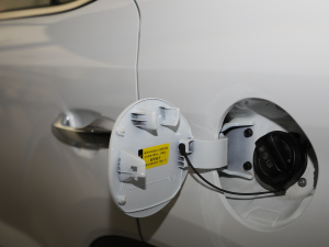 20212.0L ԄӃIȰGLS ^