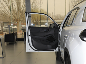 20212.0L ԄӃIȰGLS g