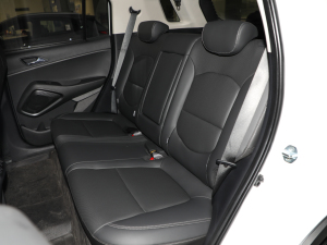 20212.0L ԄӃIȰGLS g