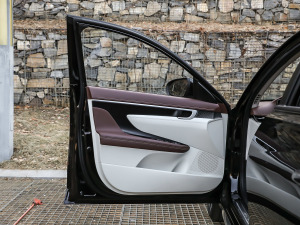 2021270TGDi DCTŞTOP g