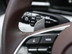 2021270TGDi DCTŞTOP п؅^