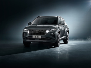 2021 ;L 1.5T (q)Ş w^