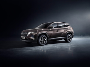 2021 ;L 1.5T (q)Ş w^