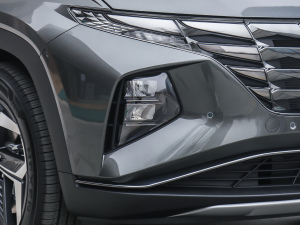 2021;L 1.5T LUXF (ji)^