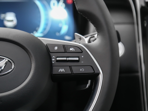 2021;L 1.5T LUXF п؅^