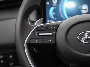 2021;L 1.5T LUXF п؅^