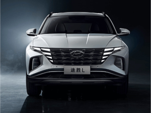 2021;L 1.5T TOPŞ w^