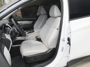 2021;L 1.5T TOPŞ {