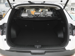 2021;L 1.5T TOPŞ g