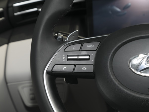 2021;L 1.5T TOPŞ п؅^(q)