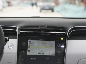 2021;L 1.5T TOPŞ {(dio)L(fng)