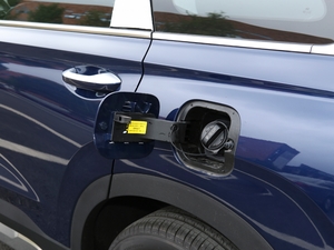 2020380 TGDi DLX ԄӃPLUS w