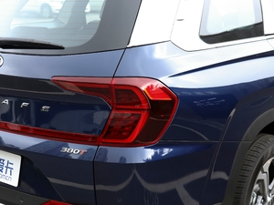 2020380 TGDi DLX ԄӃPLUS ^