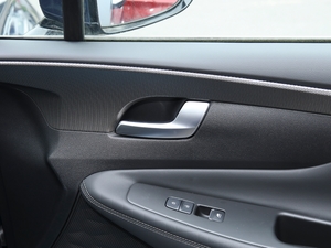 2020380 TGDi DLX Ԅ(dng)(q)PLUS g