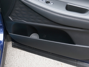 2020380 TGDi DLX Ԅ(dng)(q)PLUS g