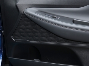 2020380 TGDi DLX Ԅ(dng)(q)PLUS g