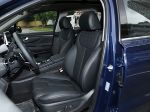 2020380 TGDi DLX Ԅ(dng)(q)PLUS g