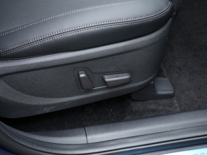 2020380 TGDi DLX Ԅ(dng)(q)PLUS g