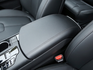 2020380 TGDi DLX Ԅ(dng)(q)PLUS g