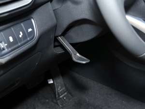 2020380 TGDi DLX ԄӃPLUS п؅^