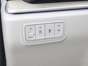 2021380TGDi TOP Premium ǐŞ п؅^