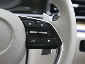 2021380TGDi TOP Premium ǐŞ п؅^